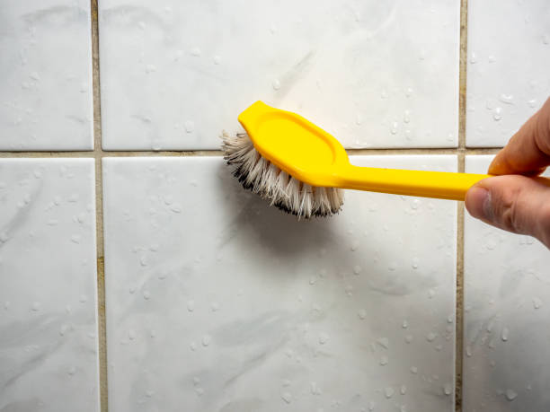 Best Same-Day Mold Removal  in Galva, KS
