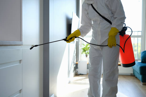 Best Mold Removal and Inspection  in Galva, KS