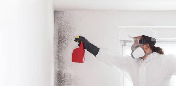 Crawl Space Mold Removal in Galva, KS
